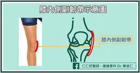 膝蓋長毛怎麼辦|膝關節會痛？了解位置原因、看哪科及舒緩方法改善膝。